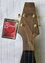 Barbara Allen™ Dulcimer https://gibsondulcimers.com/dulcimers_in_stock.html