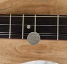 Jenny Lind™ Dulcimer at https://gibsondulcimers.com/index.html