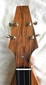 Jenny Lind™ Dulcimer at https://gibsondulcimers.com/dulcimers_in_stock.html