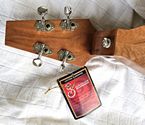 Jenny Lind™ Dulcimer at https://gibsondulcimers.com/dulcimers_in_stock.html